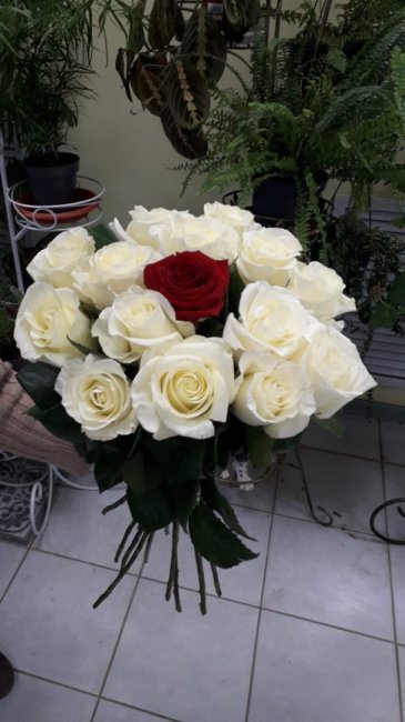 Букет цветов "Красная жемчужина" Букет цветов "Красная жемчужина"